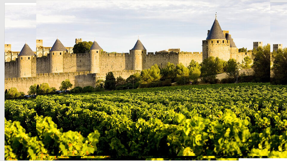 French vineyard - Legacy in every vine & every château